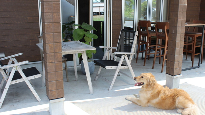 Blue3CAFE - メイン写真: