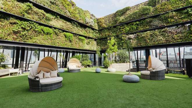 The Mint Ginza - メイン写真: