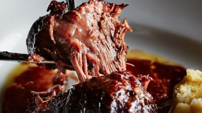 NEWLIGHT - メイン写真: