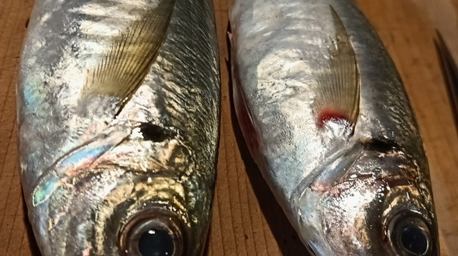 醸 はせべ - メイン写真: