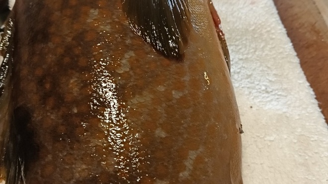 醸 はせべ - メイン写真: