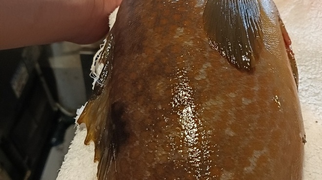 醸 はせべ - メイン写真: