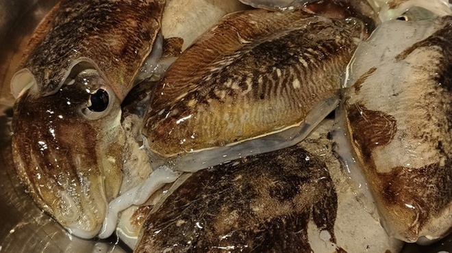 醸 はせべ - メイン写真: