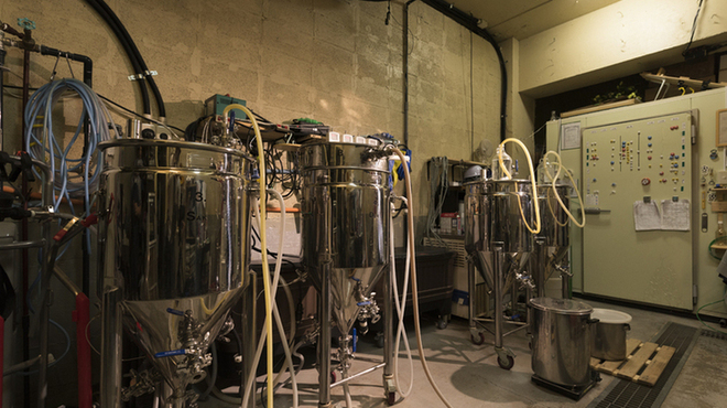 orca - メイン写真: