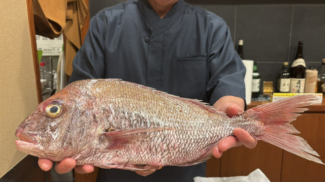 新富 うお扇 - メイン写真: