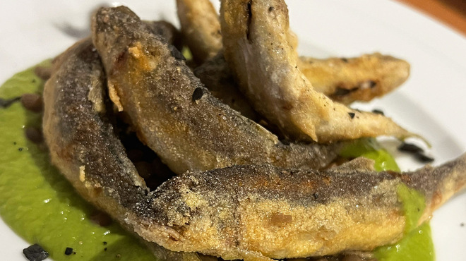 GENTILE  - メイン写真: