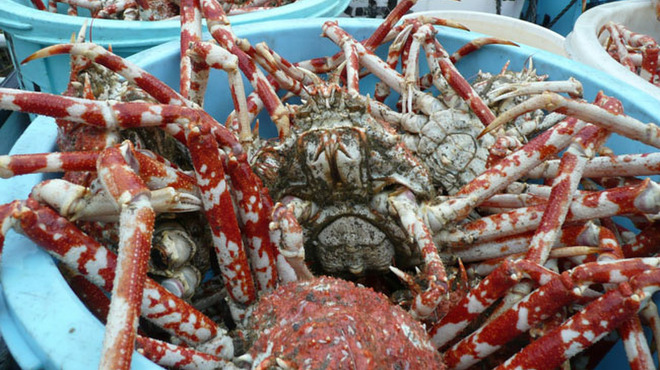 丸吉食堂 まるきちしょくどう 沼津市その他 かに ネット予約可 食べログ 丸吉食堂 まるきちしょくどう 沼津市その他 かに ネット予約可 食べログ