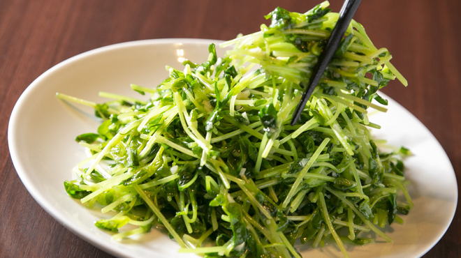 歓迎 - メイン写真: