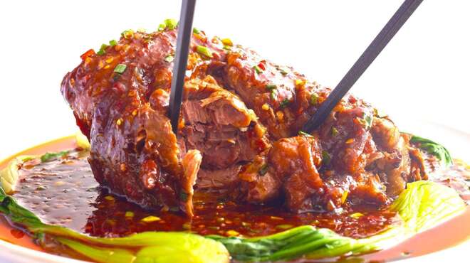 麻辣大学 - メイン写真: