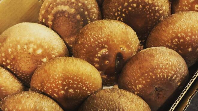 赤坂焼鳥 鳳  - メイン写真: