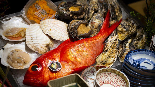 薄野 肉海鮮炉端 芯々 - メイン写真: