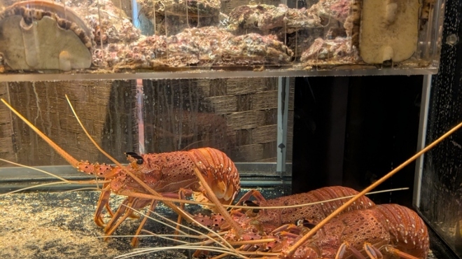 六角堂 - 料理写真: