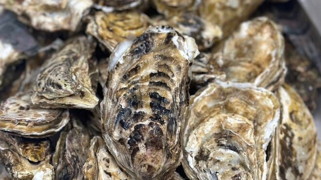 酒場 やまと - 料理写真: