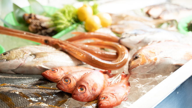 大漁酒場 魚樽本店 - メイン写真: