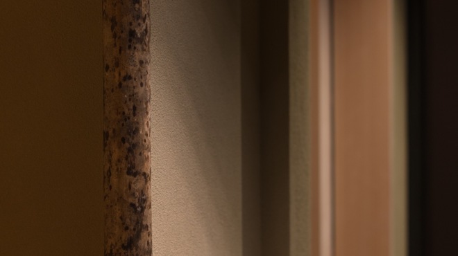 焼き鳥 こと - メイン写真: