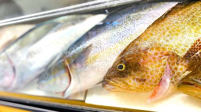 超速鮮魚寿司 羽田市場 - メイン写真: