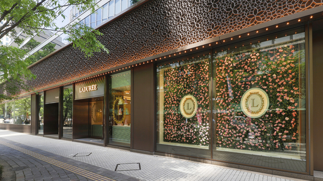 ラデュレ - メイン写真: