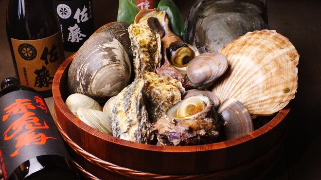 貝だらけ - メイン写真: