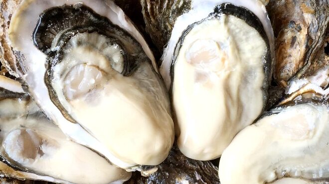 ろばた大助本店 - メイン写真: