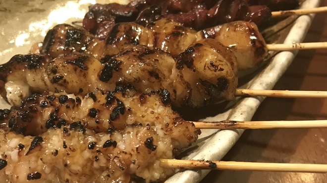 ゴーゴーホルモン亭 - メイン写真: