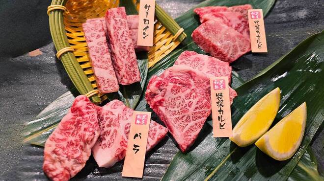 新宿思い出横丁酒場 情熱ホルモン - メイン写真: