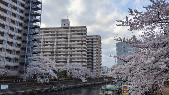 屋形船 あら川丸 - メイン写真: