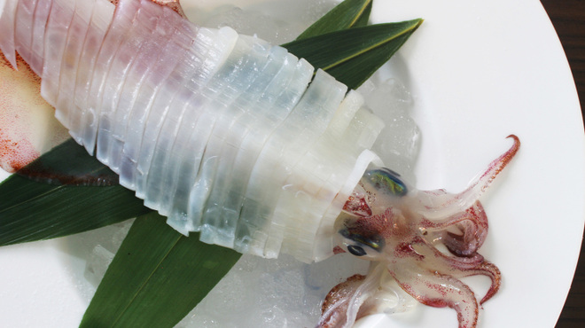 水炊き もつ鍋 博多廊 - メイン写真: