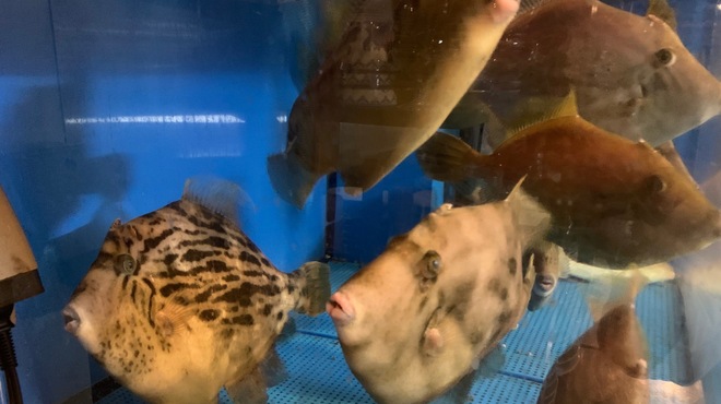 當巳 - メイン写真: