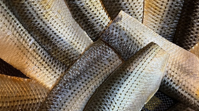 當巳 - メイン写真: