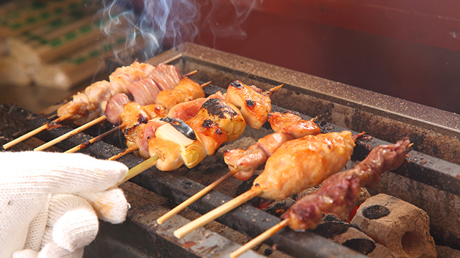 Tori Sakaba Tori Doma