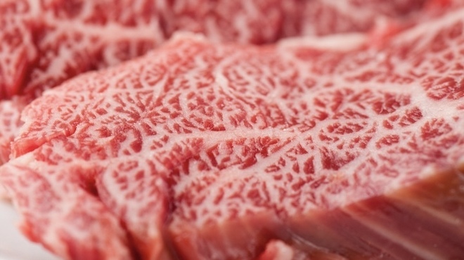 焼肉ホルモン屋だん - メイン写真: