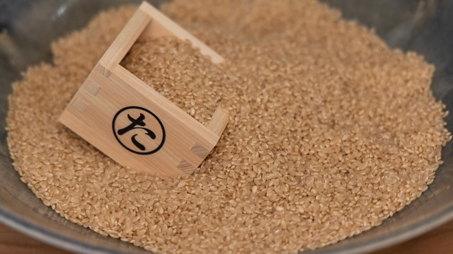 たけちゃん - メイン写真: