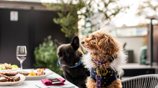 ベンジャミンテラスラウンジ - メイン写真: