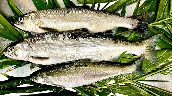 亀楽 - メイン写真: