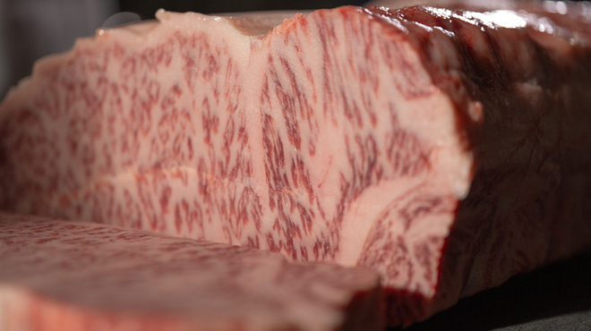 鎌倉すき焼きしゃぶしゃぶレストラン Sasho - メイン写真: