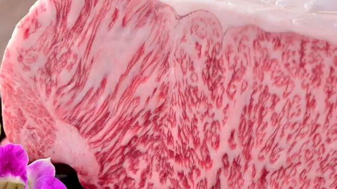 水七輪炭火焼肉 北浜にくや - メイン写真: