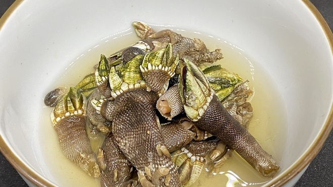 いよ狸 - メイン写真: