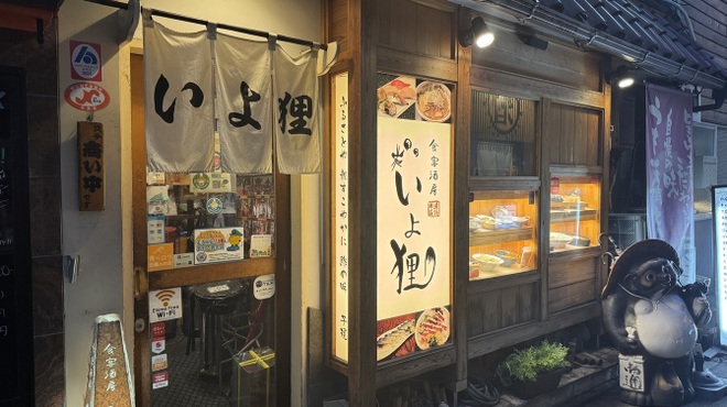 いよ狸 - メイン写真: