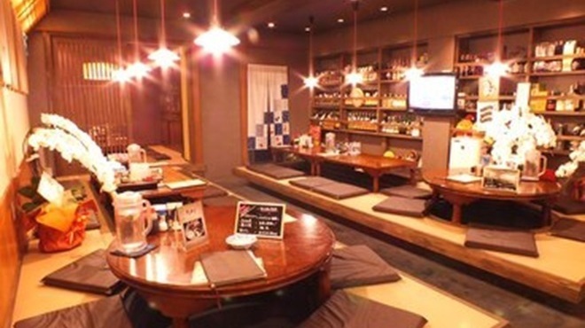 いよ狸 - メイン写真: