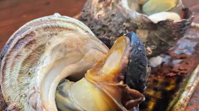 みなみ丸 合歓 - メイン写真: