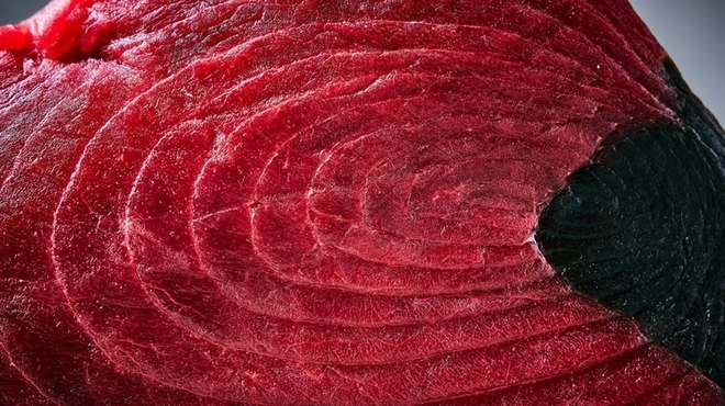マグロマート - メイン写真:
