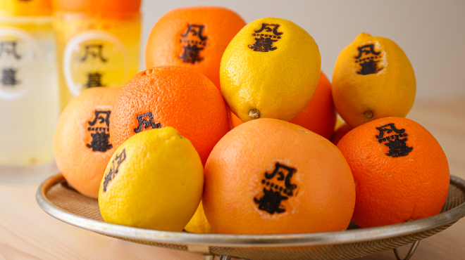 凡暮 - メイン写真: