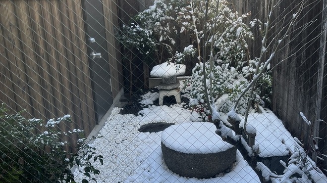 京フレンチと鉄板焼き 縁−EN− - 内観写真:雪化粧の坪庭