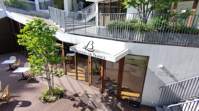 Loiseau de France - メイン写真: