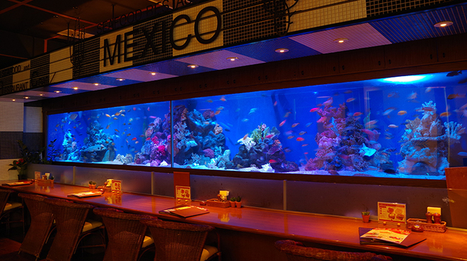 Seafoods　restaurant　MEXICO - メイン写真: