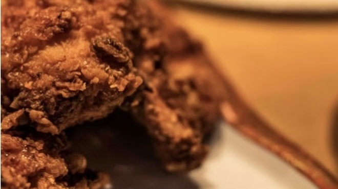 花街ノ酒場 TORA - メイン写真: