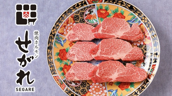 焼肉ホルモン せがれ - メイン写真: