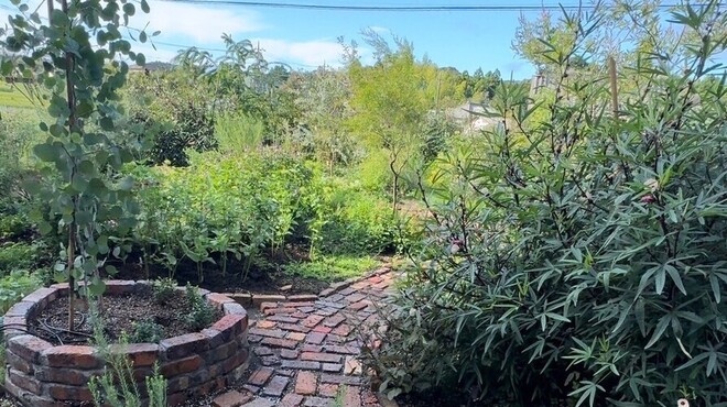 HIBINO - メイン写真: