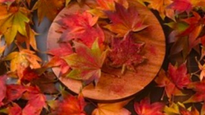 yoshiyuki - メイン写真: