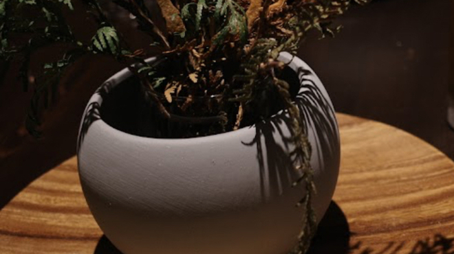 yoshiyuki - メイン写真: